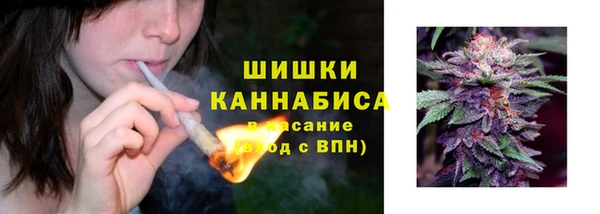 трава Надым