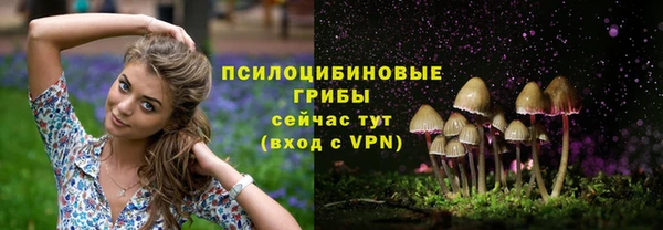 трава Надым