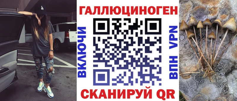 Галлюциногенные грибы Magic Shrooms  Заволжск 